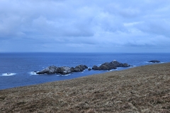 Muckle-Flugga